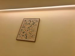 -OAE日式皮肤管理お肌の