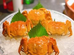 -荣记火锅(青悦城店)