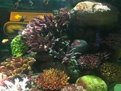 -暹罗海洋世界