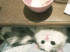 -小时光咖啡馆(开森度假森林店)