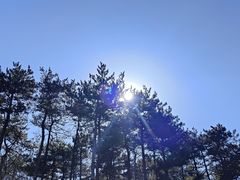 -北京西山国家森林公园