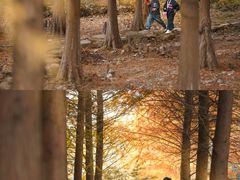 -南京市无想山景区