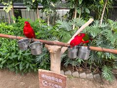 -南宫五洲植物乐园