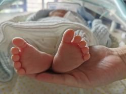 -禧月荟S月子中心(侨城店)