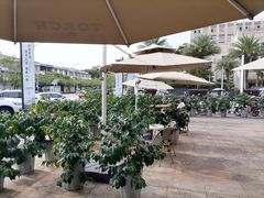 -Torch Coffee 炬点咖啡