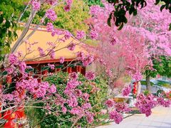 -天竺岩寺