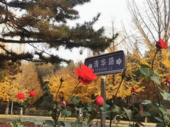 -清华澜园教工餐厅