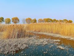 -野鸭湖国家湿地公园