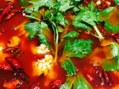 -重庆乌鱼庄·龙滋鲜(青羊大道店)