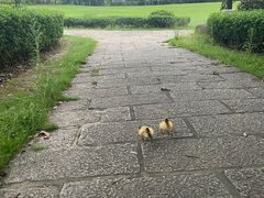 -福建鲤鱼洲酒店