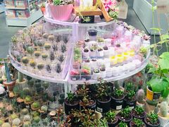 -KKV(深圳kk one 店)