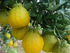 -金堂县云顶石城风景区