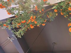 -将军府·鸡毛店(武侯祠店)