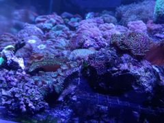 -趣陶陶艺手工坊(新世界百货重庆店)