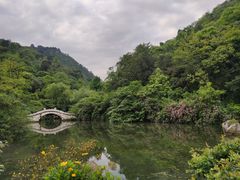 -黔灵山公园
