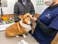 -爱侣宠医·鹦鹉专科·小型哺乳类·异宠专科(灵石路店)