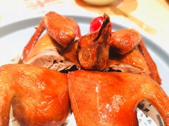 妙龄乳鸽-点都德(长泰广场店)