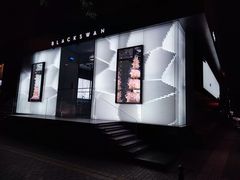 -BLACKSWAN黑天鹅(环球店)