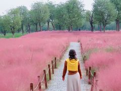 -汉长安城未央宫国家考古遗址公园