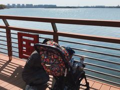 -丁香湖公园