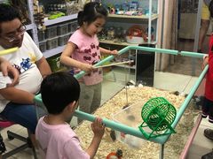 -钓仓鼠(洋桥北里小区店)