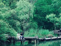 -西溪国家湿地公园