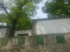 -北京鹫峰国家森林公园