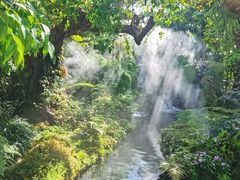 -Chom Cafe and Restaurant