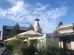 -théATRE 茶聚场(王府中環店)