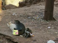 -昆明动物园
