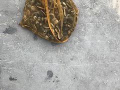 -北海金海湾红树林生态旅游区