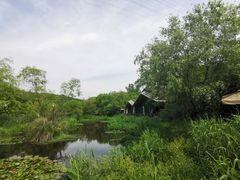 -西湖风景区-江洋畈生态公园