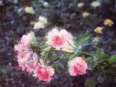 -人民公园(罗湖区)