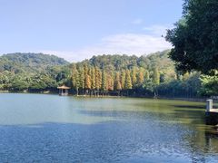 -西樵山风景名胜区-天湖公园