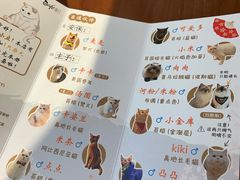 -猫小主咖啡·猫咖cat cafe(福田店)