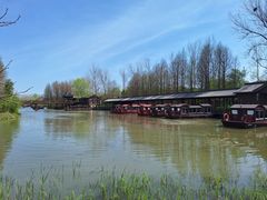 -溱湖国家湿地公园