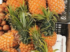 -重振华中蔬菜批发市场(重庆中路店)