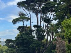 -墨尔本皇家植物园