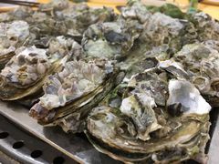 -蚝专家(北滘店)
