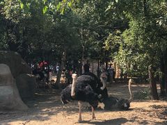 -南昌动物园