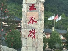 -王莽岭风景区