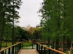 -映月湖公园