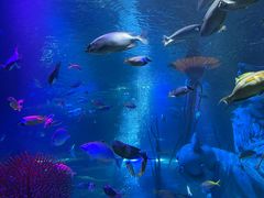 -沈阳海洋探索中心