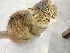 -九寨沟石锅鱼(沣峪口店)