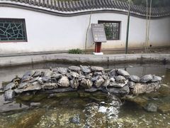 -红螺寺