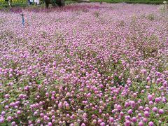 -宝晶宫旅游景区