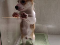 -乐宠宠物店(世纪金源店)