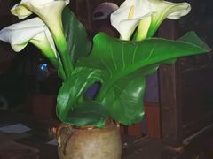 -飘香酒馆·私房菜