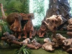 -济州岛泰迪熊博物馆