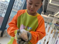 -怪兽屋·羊驼·猫咖·狗咖(俊华广场店)